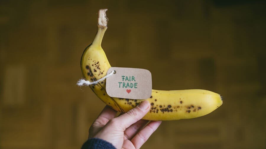 The sale of fair-trade bananas is part of sustainable development in consumer markets.